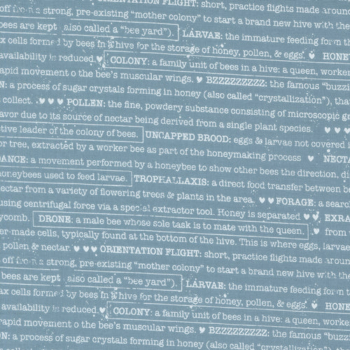 COMING SOON - Wild Honey Text Sky by Lella Boutique
