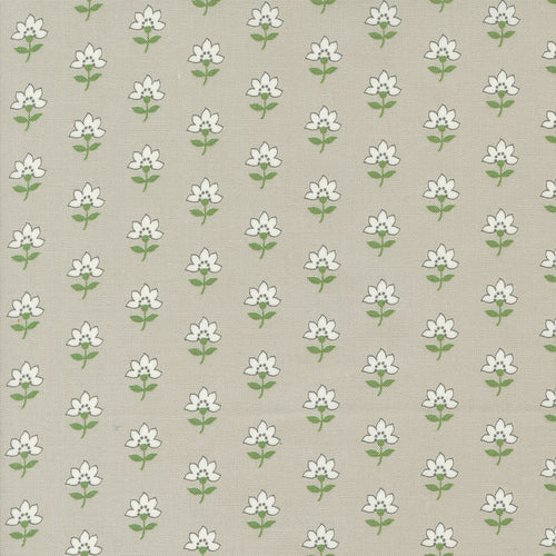 Shoreline - Coastal Floral Grey by Camille Roskelly