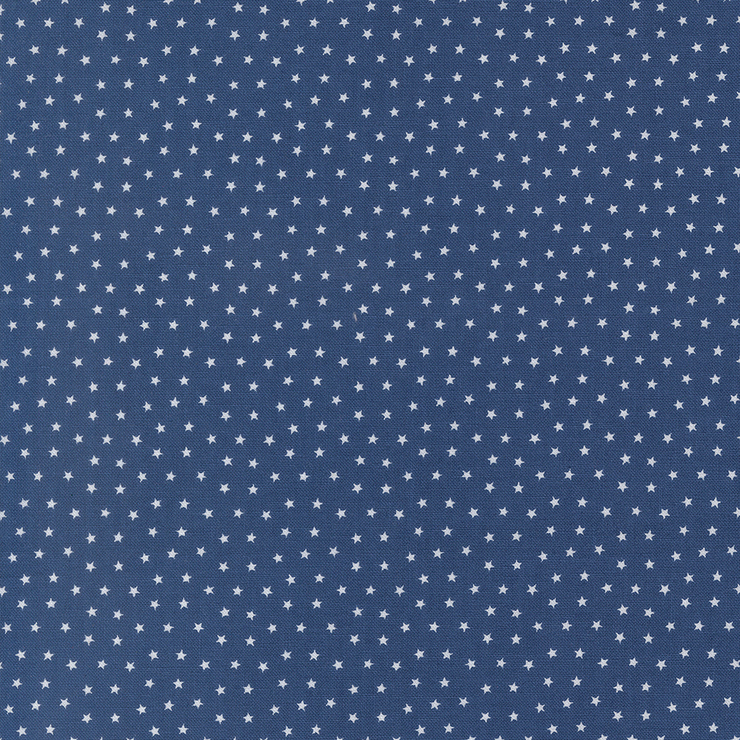COMING SOON - Blueprint Starlight Navy by Camille Roskelley