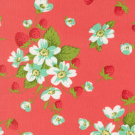 Bloomsberry Strawberries In Bloom Nantucket Red by Camille Roskelley