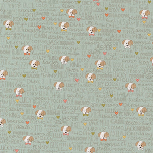 COMING SOON - Lucky Buddies Sky by Sweetwater