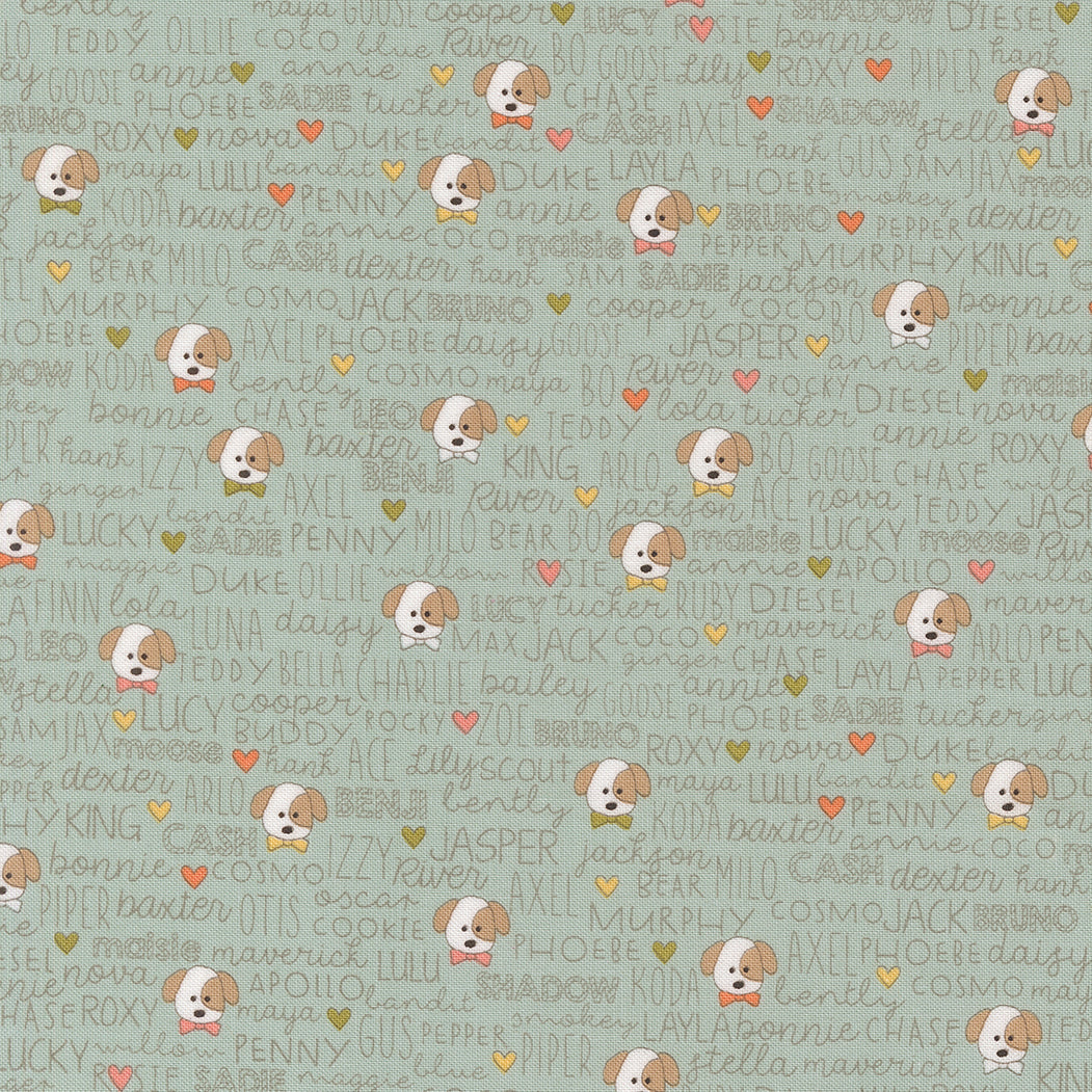 COMING SOON - Lucky Buddies Sky by Sweetwater