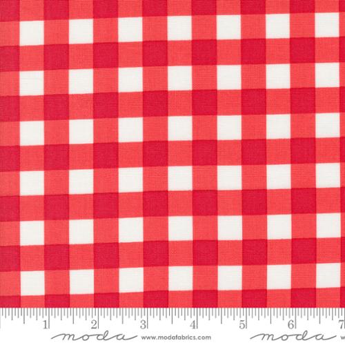 Coriander Colors Red Gingham by Corey Yoder