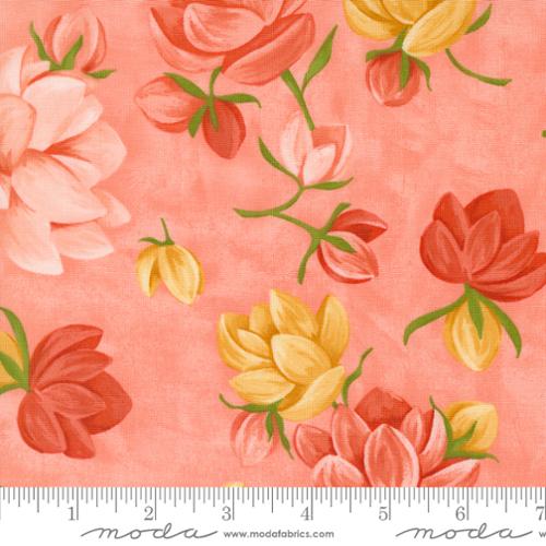 Kindred - Petaluma Florals Coral by 1 Canoe 2