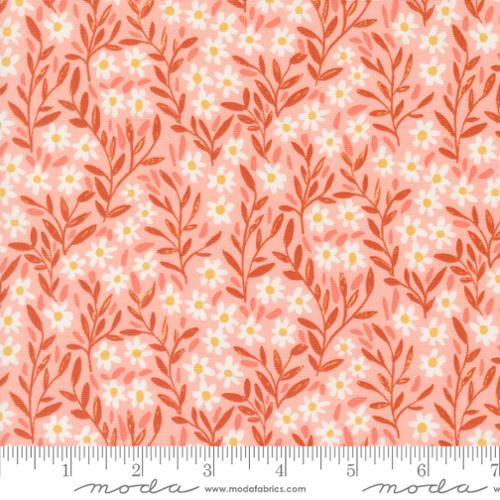 Kindred - Daisy Florals Blush by 1 Canoe 2