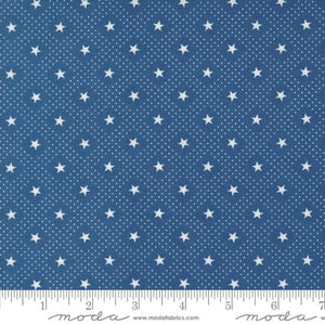 Grand Haven Star Check Nautical Blue by Minick & Simpson