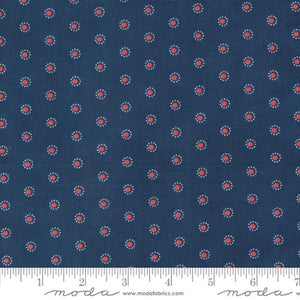 Grand Haven Dotted Dots Navy by Minick & Simpson