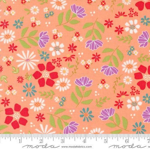 Laguna Sunrise Wild Rose Florals Cantaloupe by Sherri & Chelsi