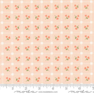 Dainty Meadow Picnic Petals Checks and Plaids Floral Blush by My Sew Quilty Life