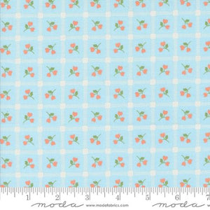 Dainty Meadow Picnic Petals Checks and Plaids Floral Sky by My Sew Quilty Life