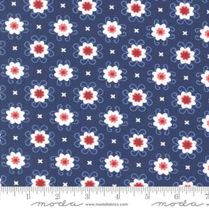 Star Spangled Bandana Twilight by April Rosenthal