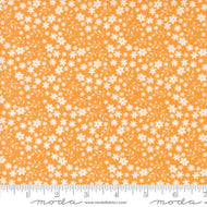 Raspberry Summer Blossom Apricot by Sherri and Chelsi
