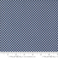 Raspberry Summer Gingham Blueberry by Sherri and Chelsi