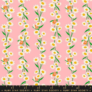 Carousels Daisy Chain Snails Balmy by Melody Miller
