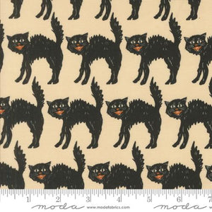 Home Sweet Haunt Little Black Cat Bone by Stacy Iest Hsu