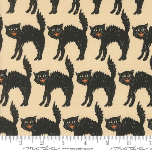Home Sweet Haunt Little Black Cat Bone by Stacy Iest Hsu