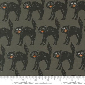Home Sweet Haunt Little Black Cat Stone by Stacy Iest Hsu