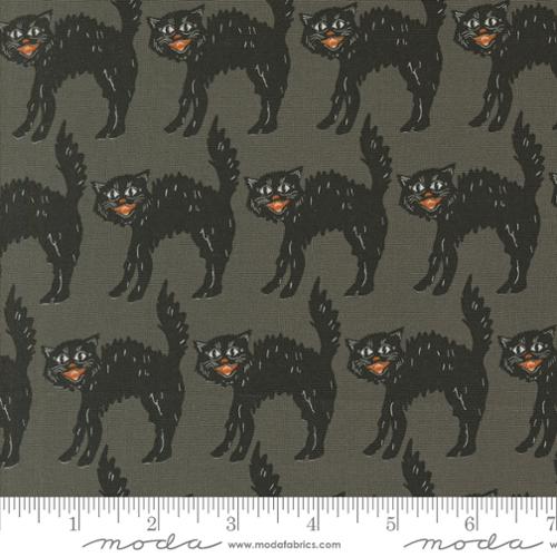 Home Sweet Haunt Little Black Cat Stone by Stacy Iest Hsu