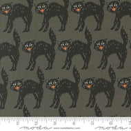 Home Sweet Haunt Little Black Cat Stone by Stacy Iest Hsu