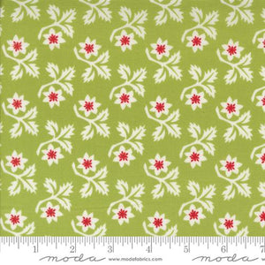 Buon Natale Woodcut Christmas Flowers Cedar by Fig Tree and Co.