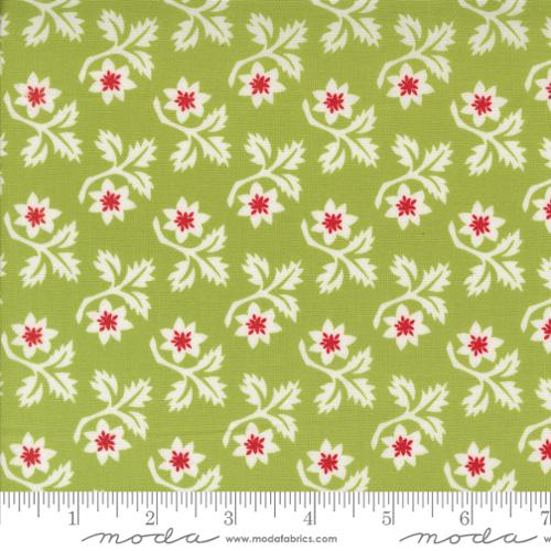 Buon Natale Woodcut Christmas Flowers Cedar by Fig Tree and Co.