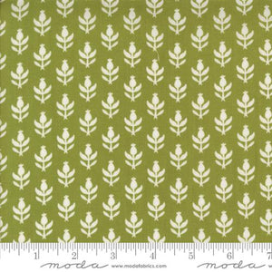 Buon Natale Christmas Thistle Pine by Fig Tree and Co.