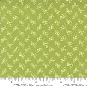 Buon Natale Winter Buds Cedar by Fig Tree and Co.