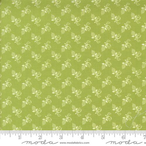 Buon Natale Winter Buds Cedar by Fig Tree and Co.