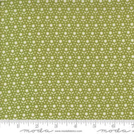 Buon Natale Star Blooms Pine by Fig Tree and Co.