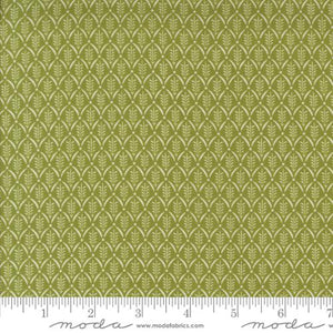 Buon Natale Evergreen Blenders Pine by Fig Tree and Co.