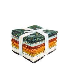 Load image into Gallery viewer, The Apothecary Fat Quarter Bundle by Amber Elliot