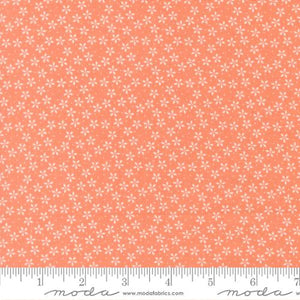 COMING SOON - Pastel Prairie Colander Small Floral Coral by My Sew Quilty Life