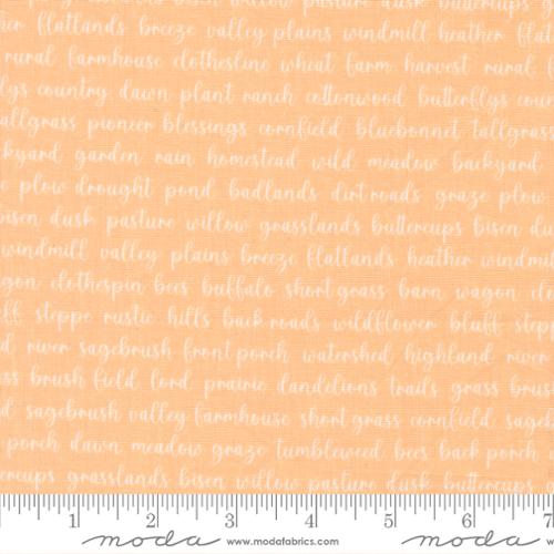 COMING SOON - Pastel Prairie Words Apricot by My Sew Quilty Life