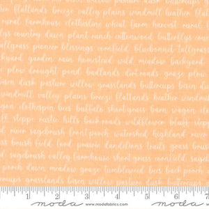COMING SOON - Pastel Prairie Words Apricot by My Sew Quilty Life
