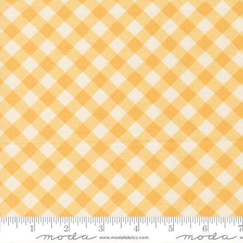 COMING SOON - Pastel Prairie Gingham Sunshine by My Sew Quilty Life