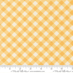 COMING SOON - Pastel Prairie Gingham Sunshine by My Sew Quilty Life