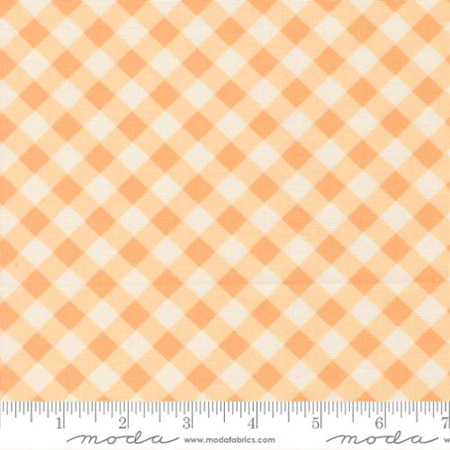 COMING SOON - Pastel Prairie Gingham Apricot by My Sew Quilty Life