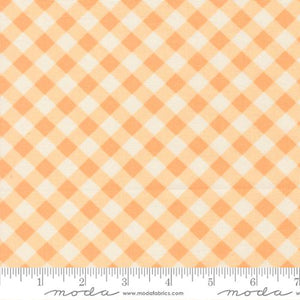 COMING SOON - Pastel Prairie Gingham Apricot by My Sew Quilty Life