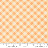 Pastel Prairie Gingham Apricot by My Sew Quilty Life