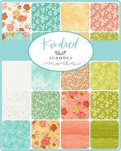 Load image into Gallery viewer, RESERVATION - Kindred Fat Quarter Bundle by 1 Canoe 2