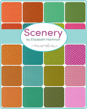 Load image into Gallery viewer, RESERVATION - Scenery Fat Quarter Bundle by Elizabeth Hartman