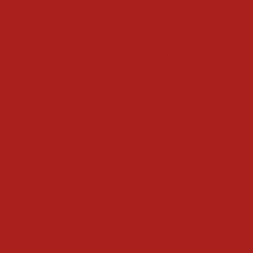 Confetti Cottons - Barn Red by Riley Blake Designs