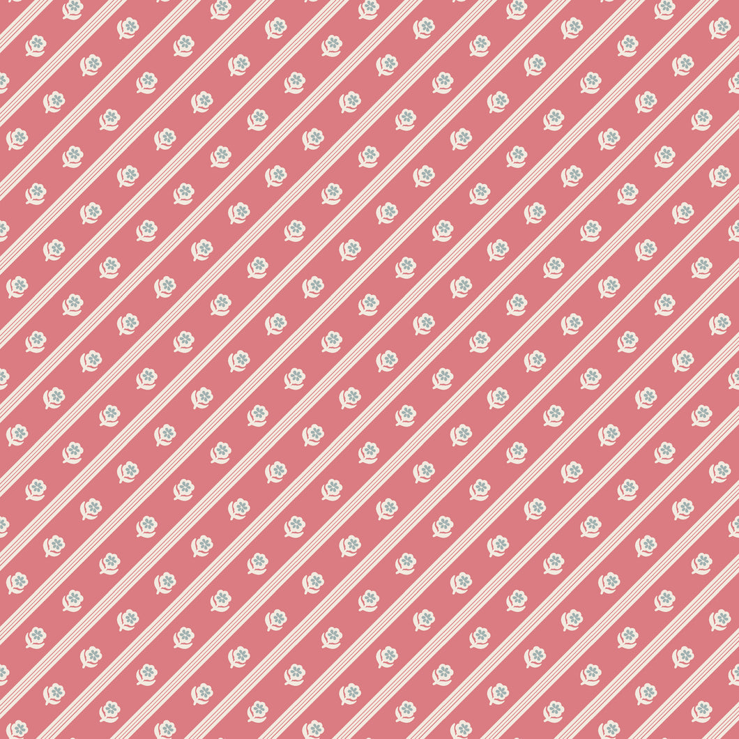 Sense and Sensibility Mrs. Jennings by Jane Austen's House