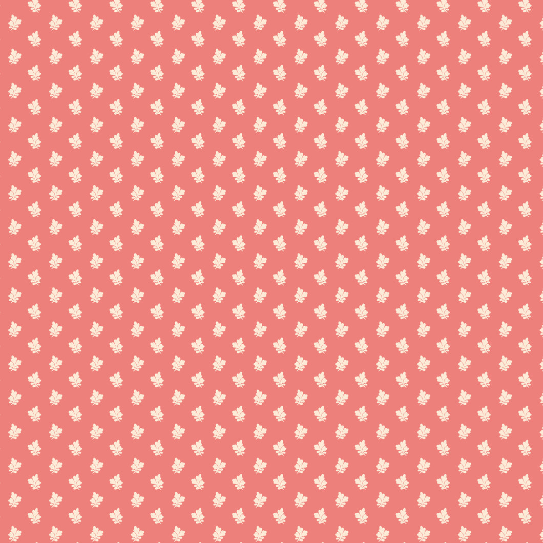 Sense and Sensibility Lucy by Jane Austen's House