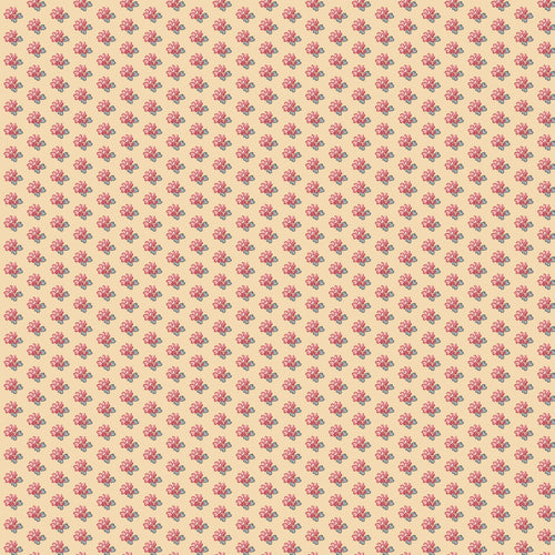 Sense and Sensibility Delaford by Jane Austen's House