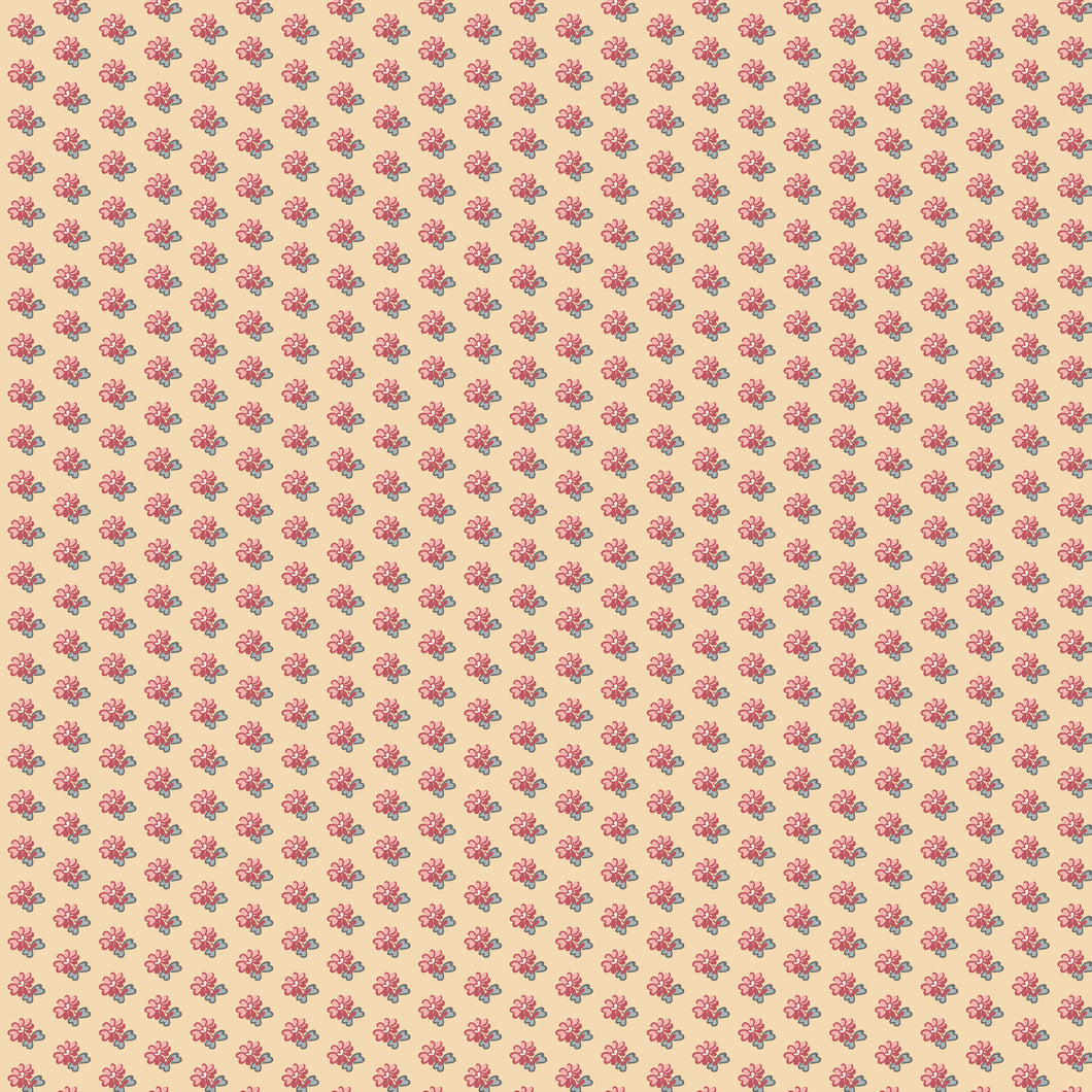 Sense and Sensibility Delaford by Jane Austen's House