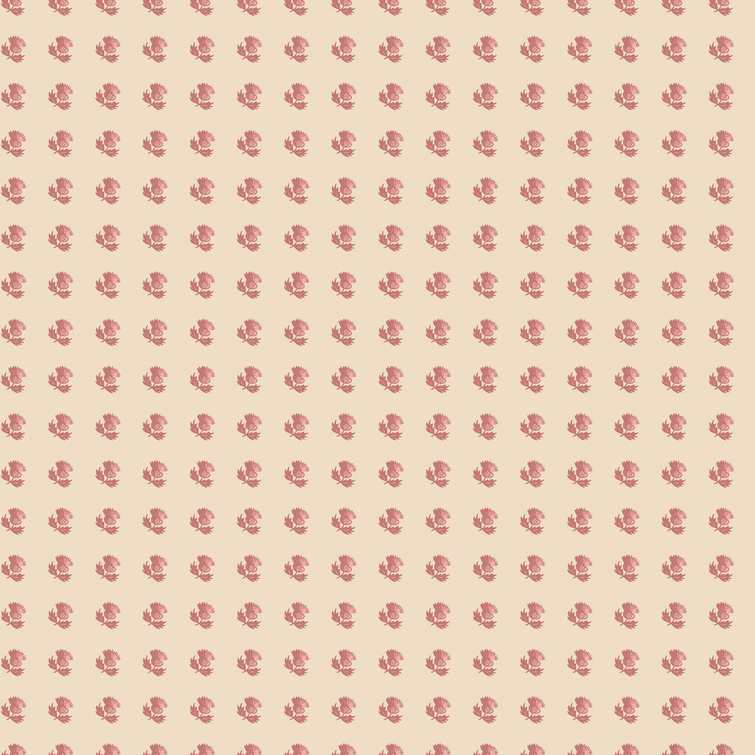 Sense and Sensibility Sir Middleton by Jane Austen's House