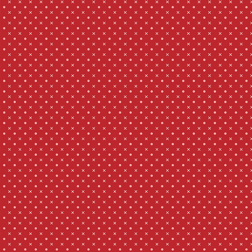 Bee Dots - Mary Schoolhouse by Lori Holt