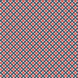 Sweet Freedom - Gingham Picnic Multi by Beverly McCullough