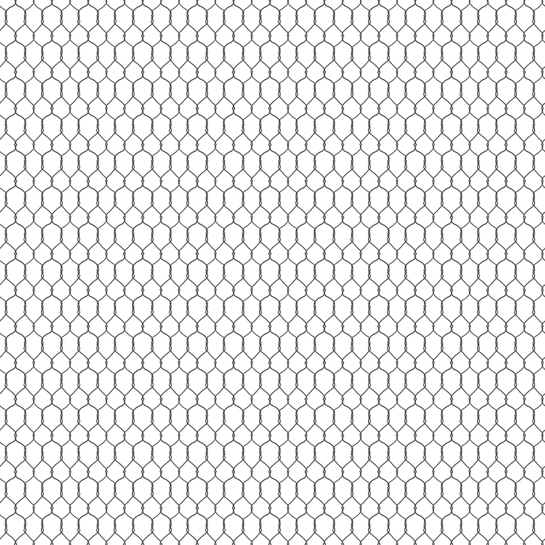 Farm Livin' Chicken Wire White by Diane Labombarbe